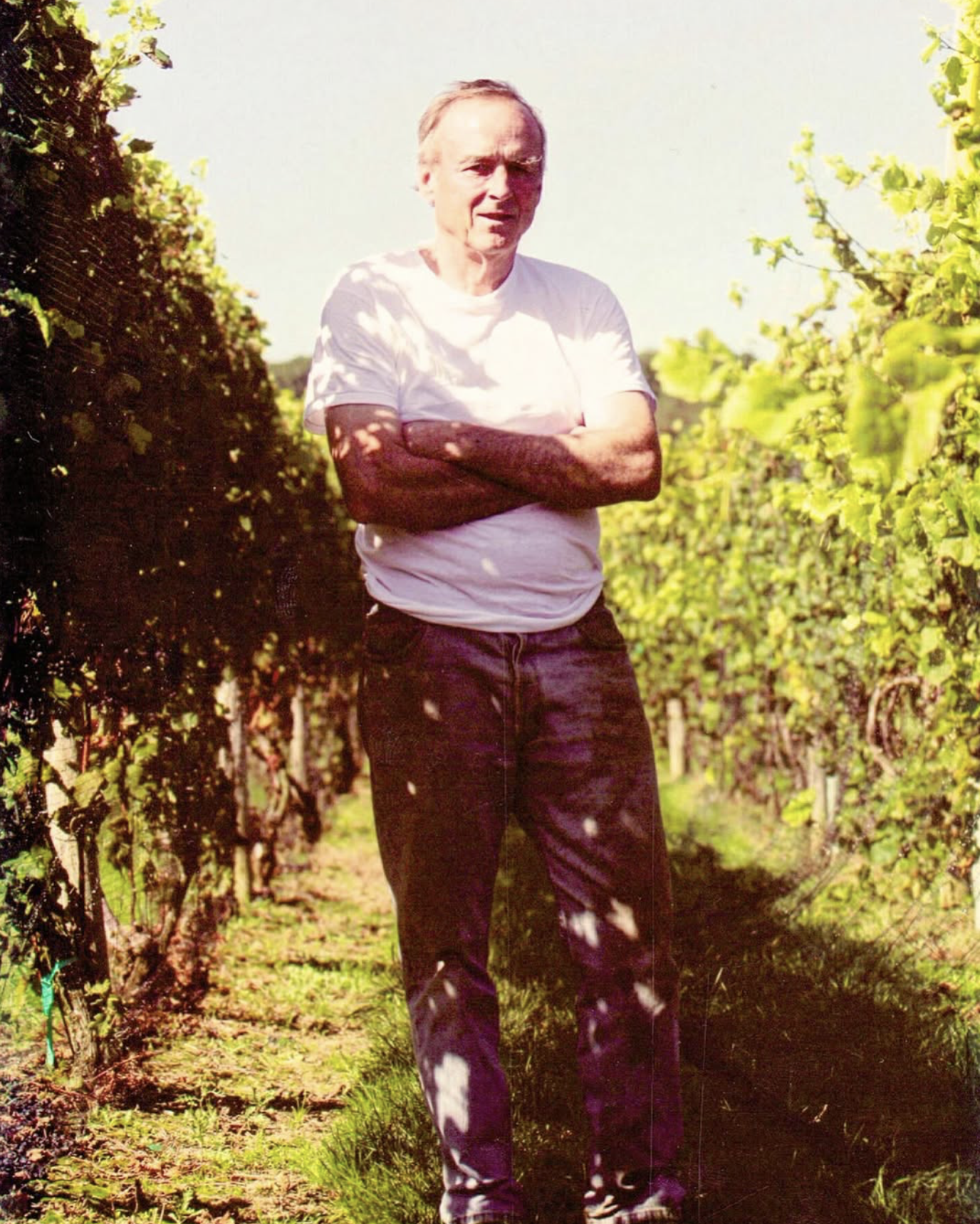 Walter Channing standing among the vineyard rows, arms crossed, in a white t-shirt
