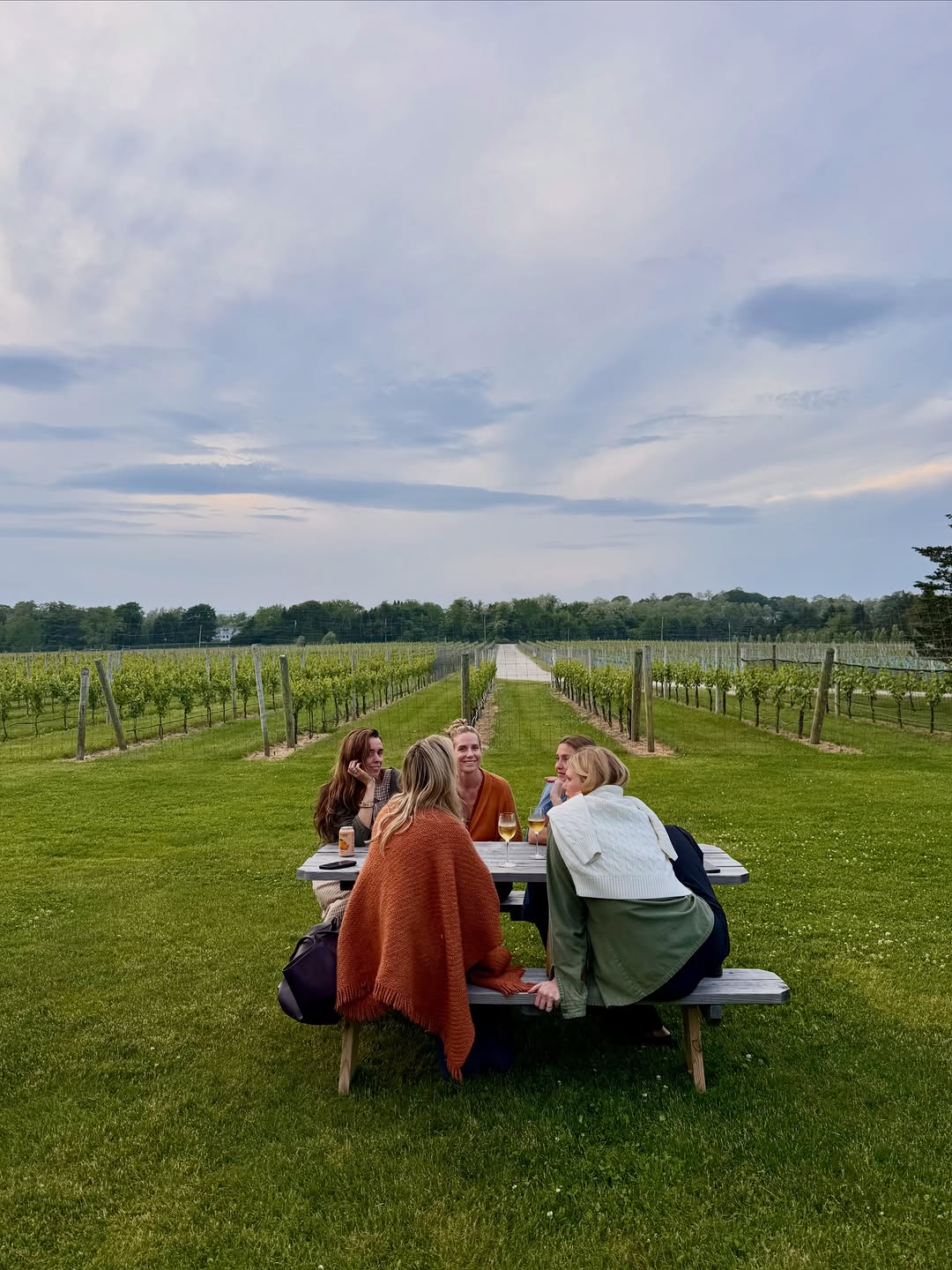 Friends sharing wine at a picnic table in front of the vineyard rows at dusk