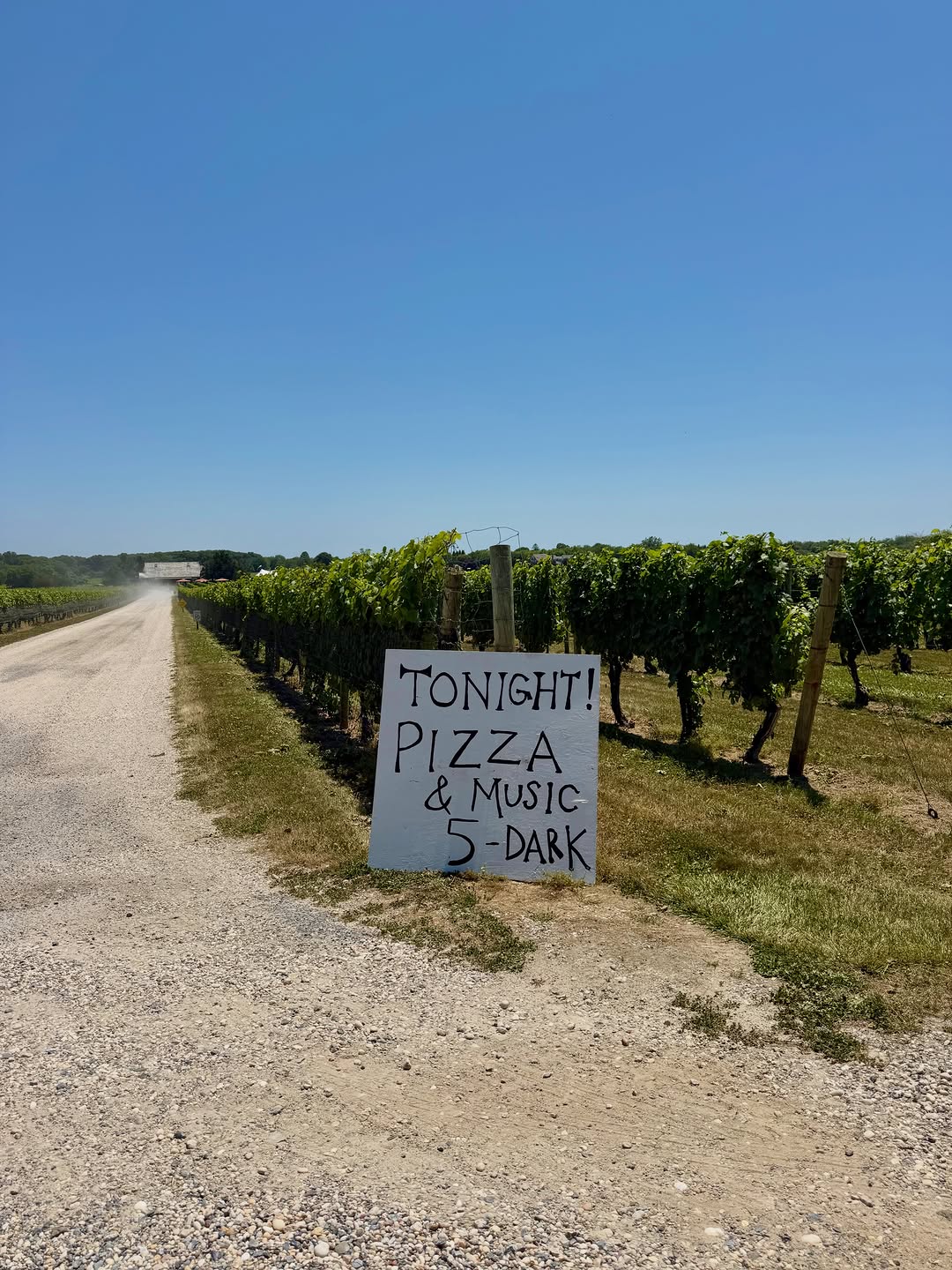 Hand-painted plywood sign in the vines: Tonight! Pizza and Music, 5 til dark